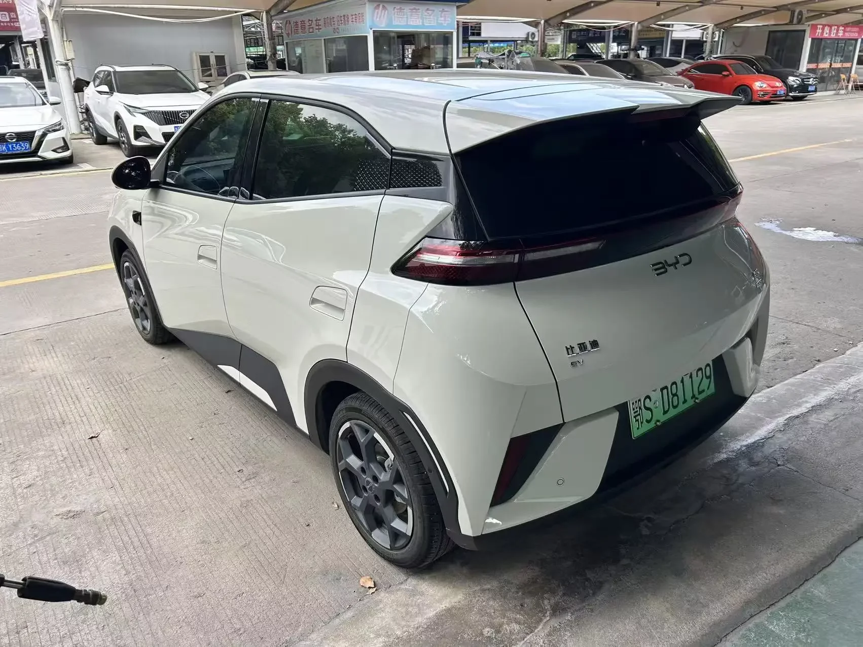 BYD seagull