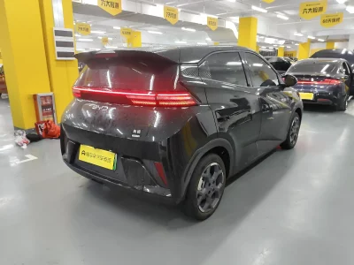 BYD Seagull
