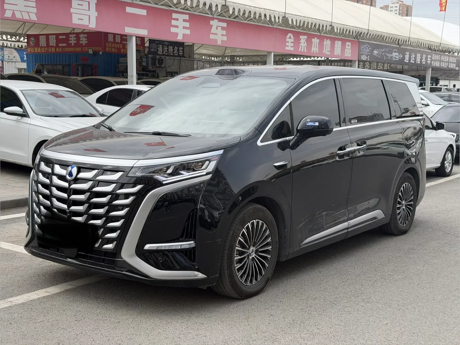 Denza D9 DM