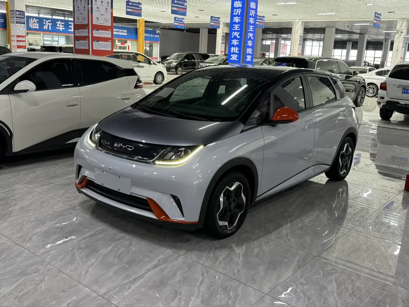 BYD dolphin