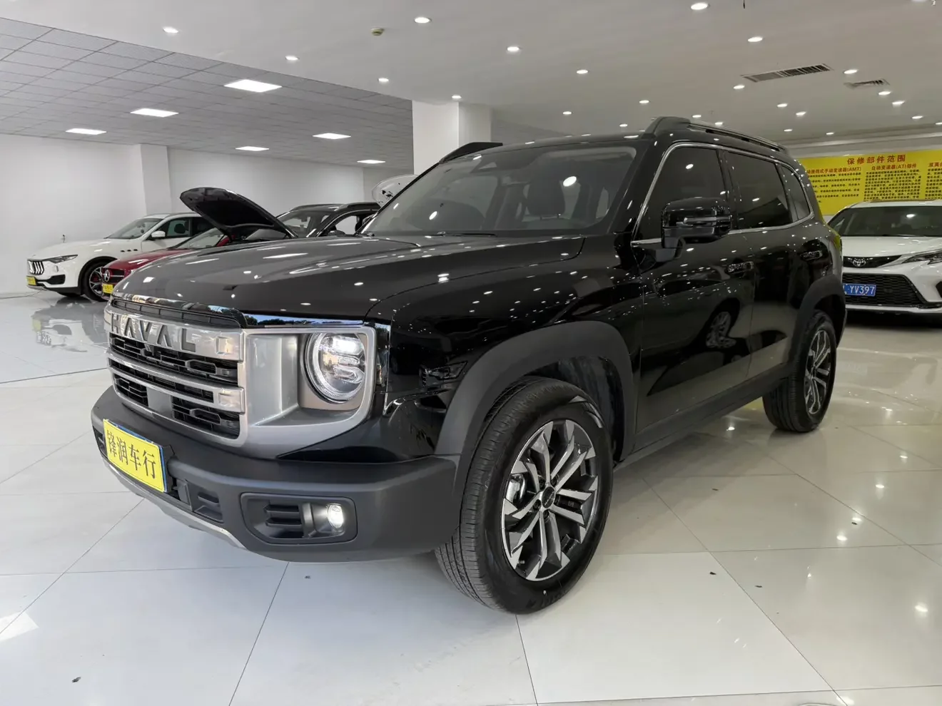 Haval Dargo