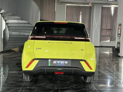 BYD Seagull