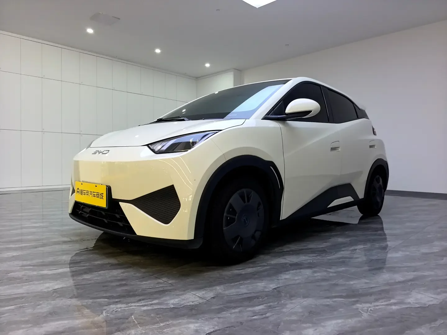 BYD seagull