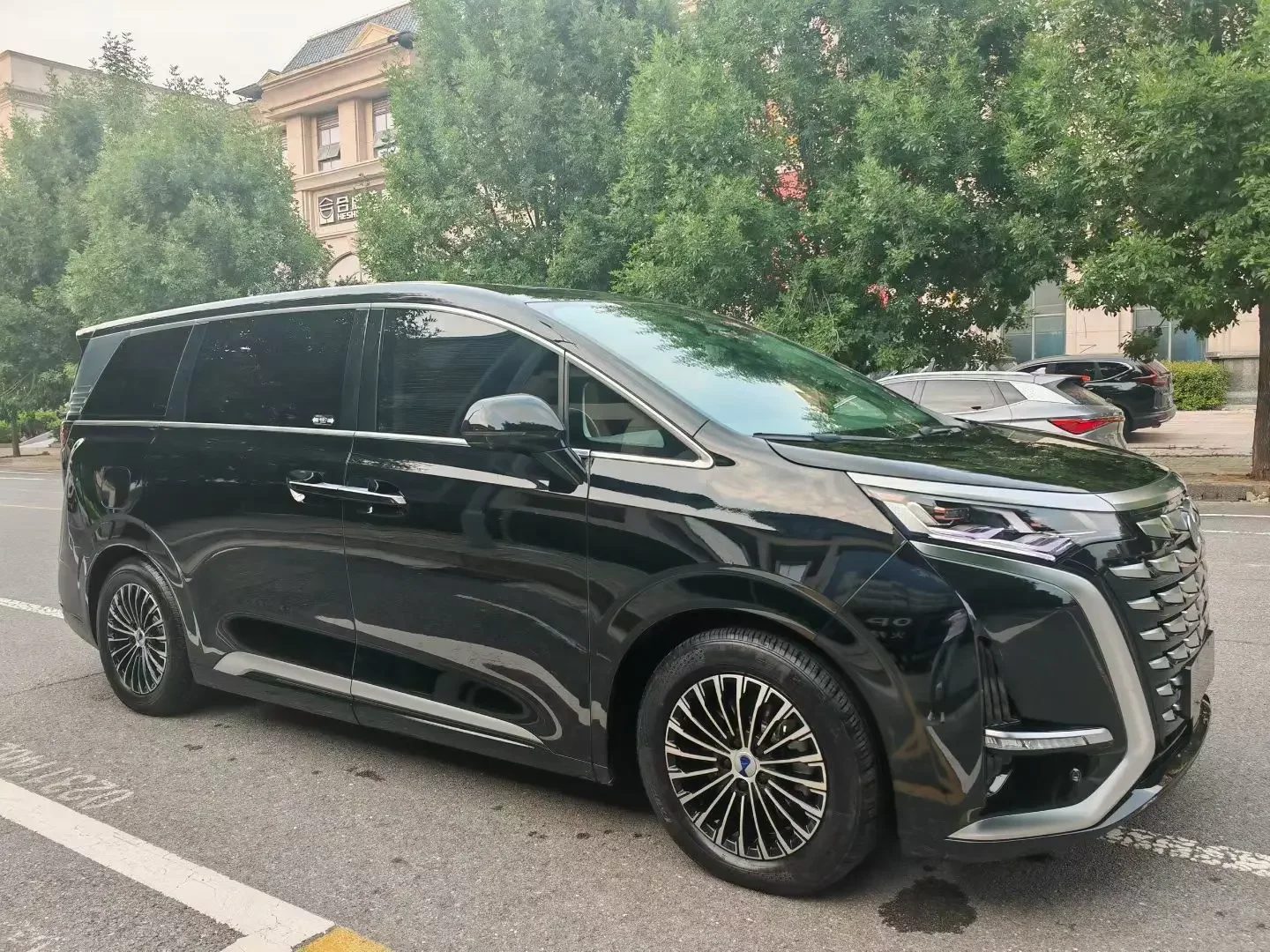 Denza D9 DM