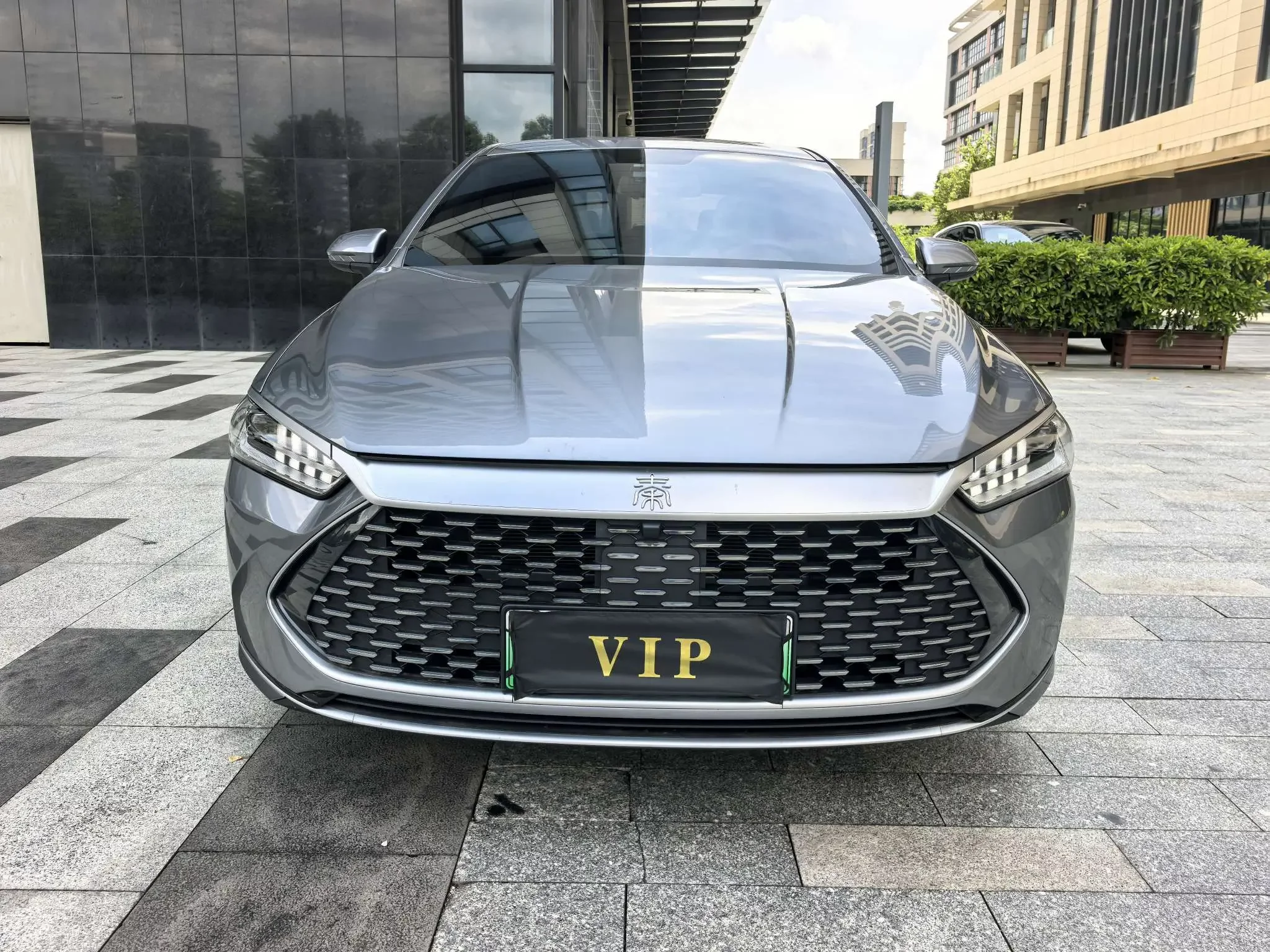 BYD Qin PLUS DM