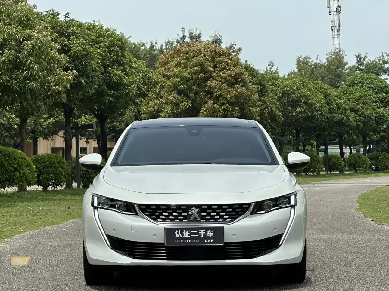 Peugeot 508L