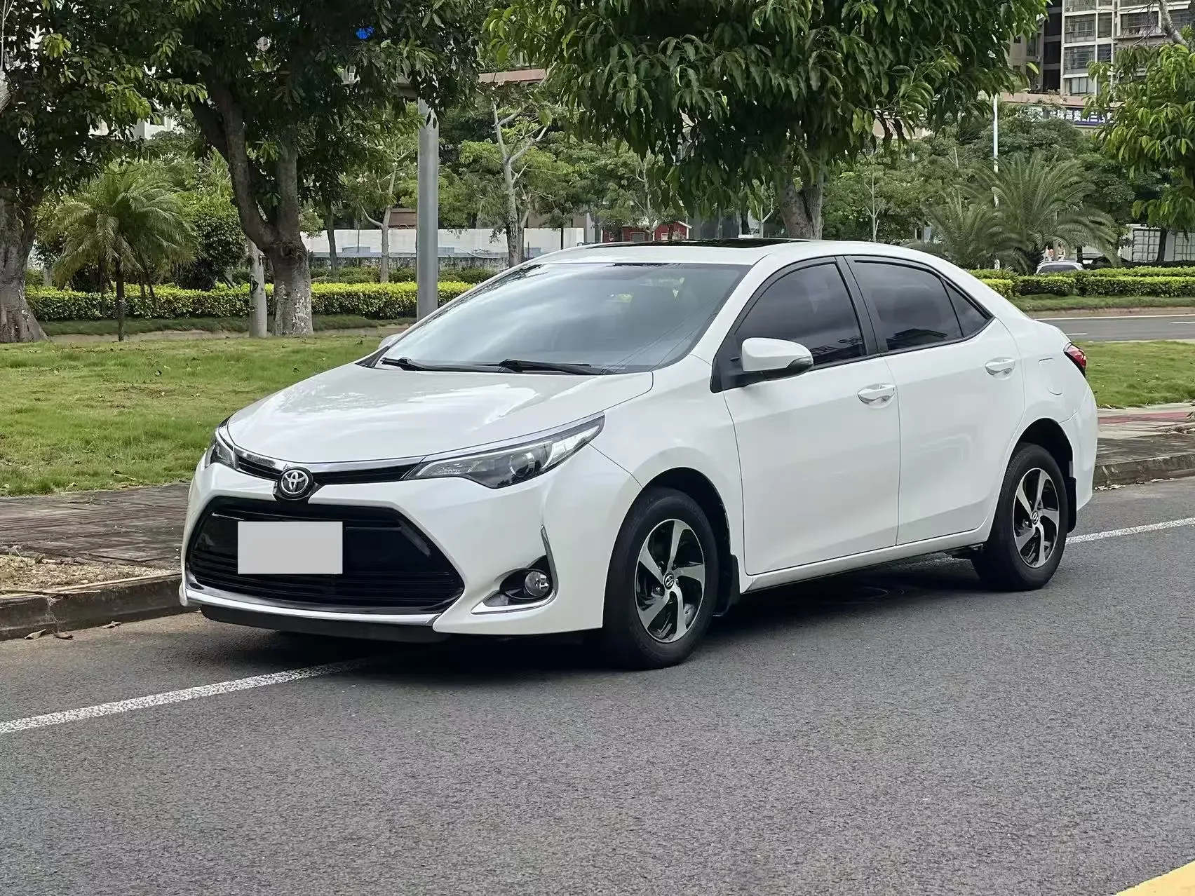 Toyota Levin