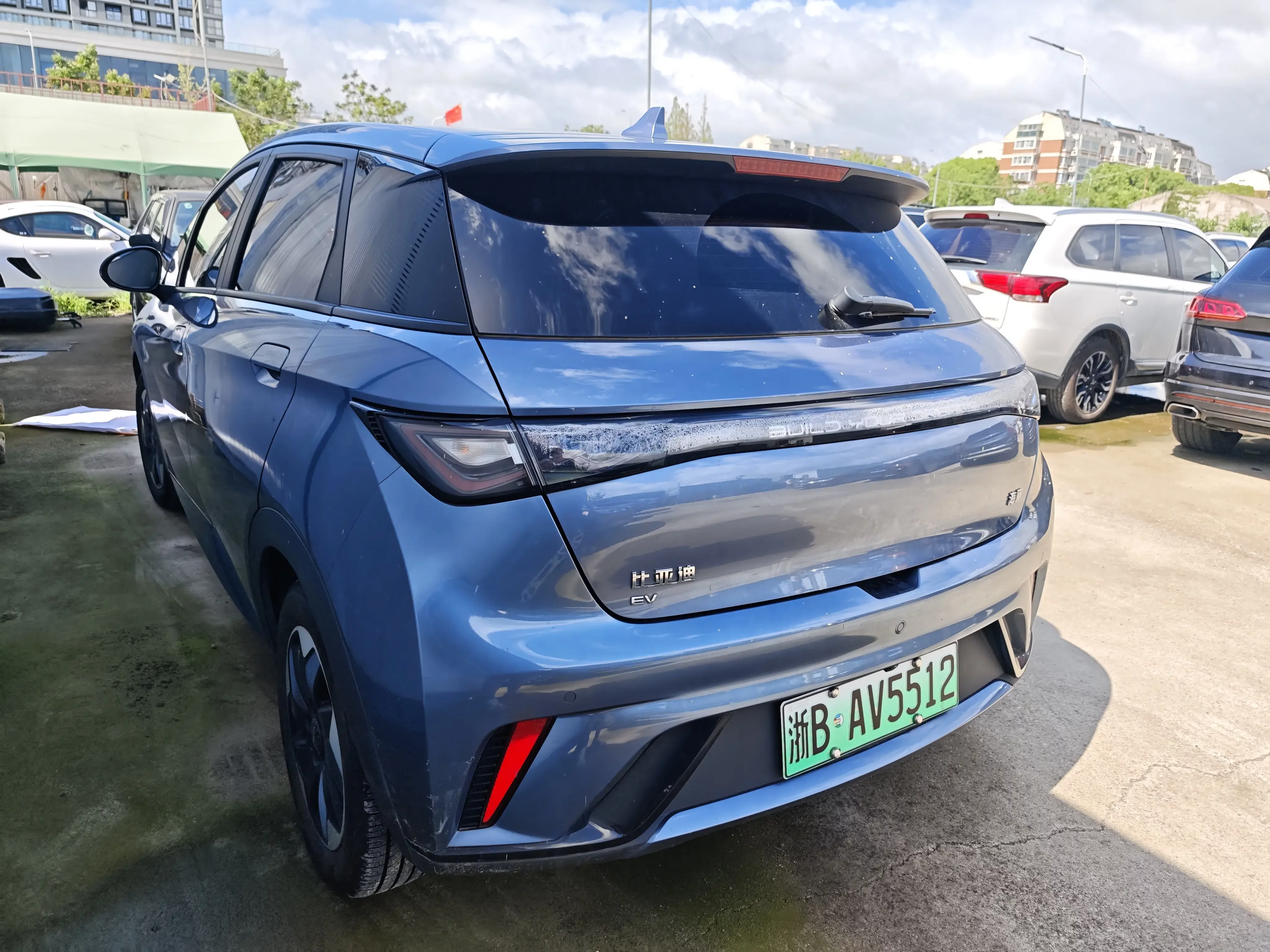BYD dolphin