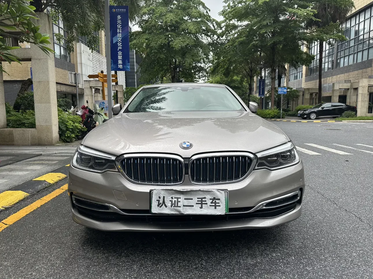 BMW 5 Series PHEV  из Китая
