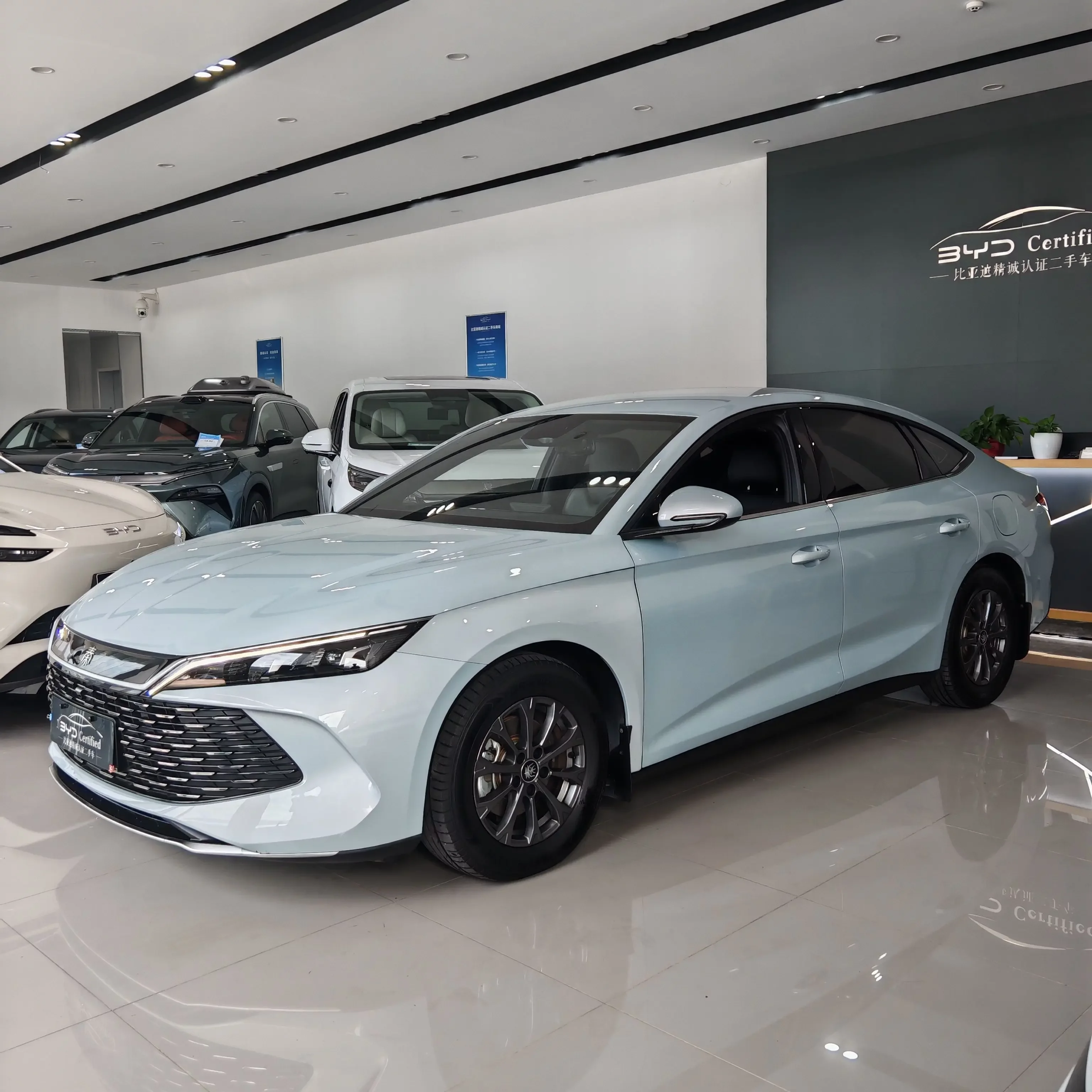 BYD Qin L DM