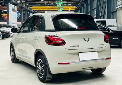 Wuling Bingo