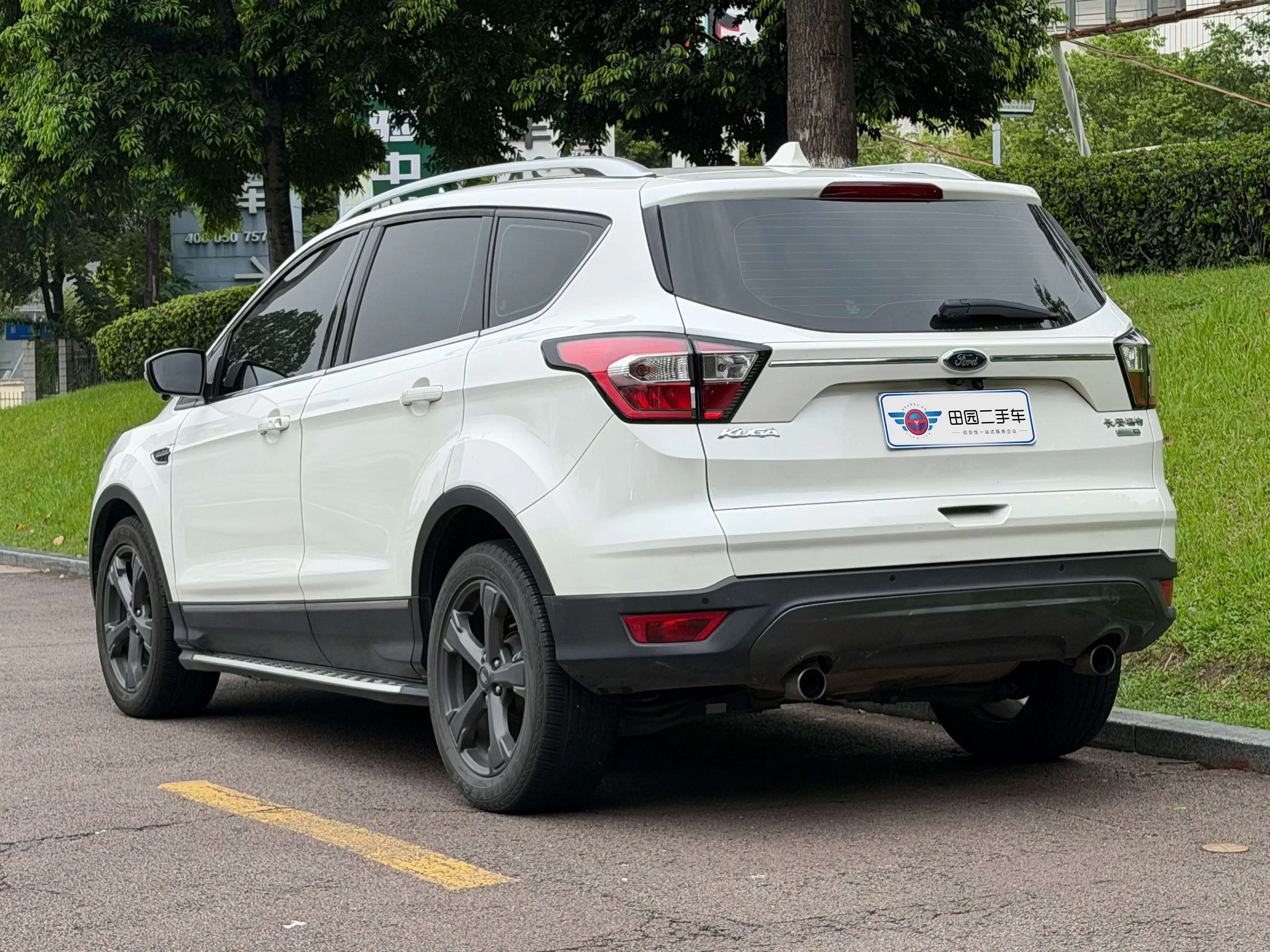 Ford wing tiger