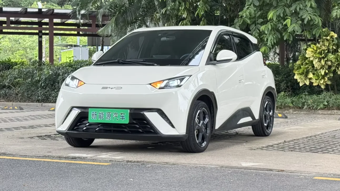 BYD seagull