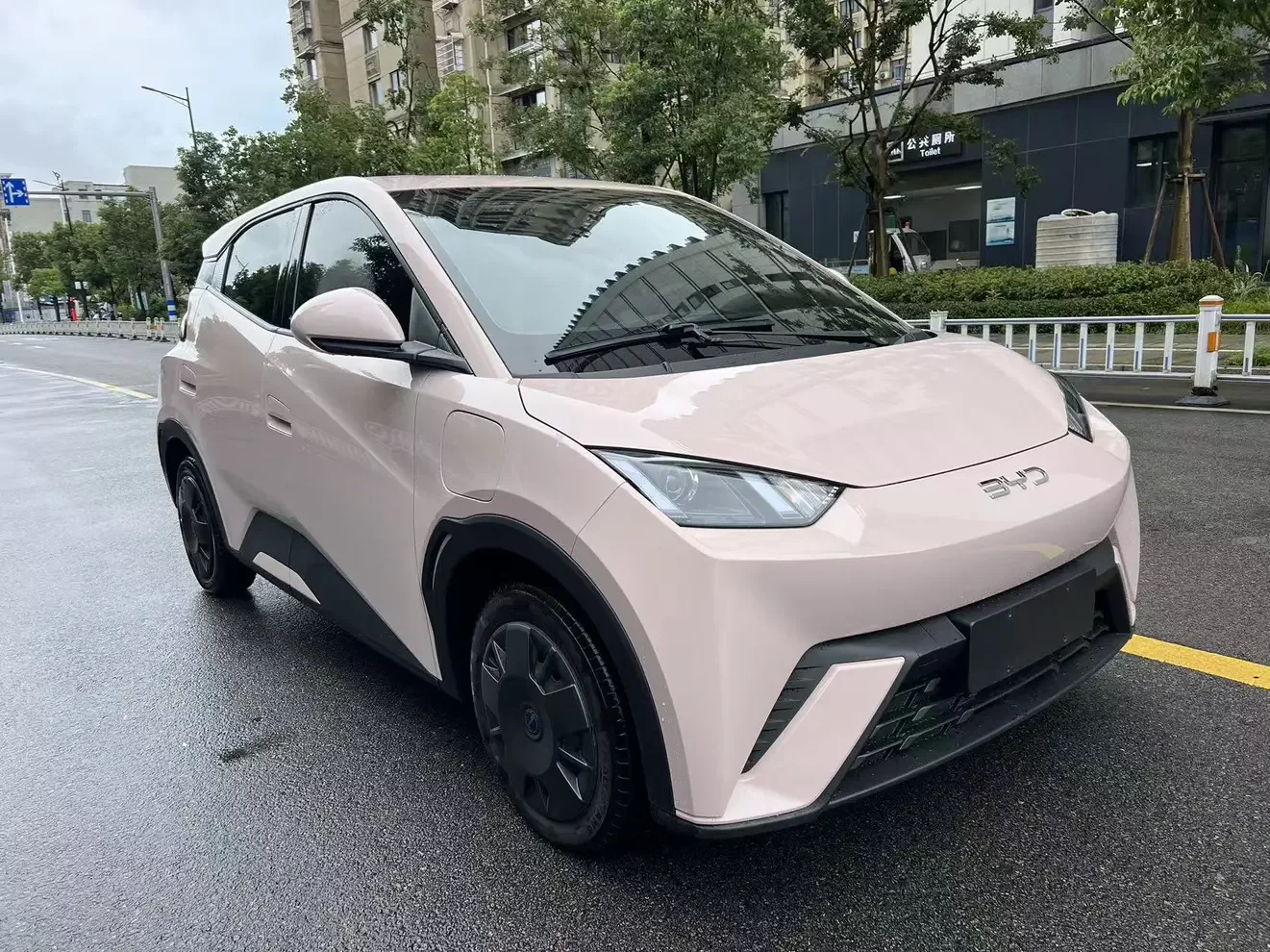 BYD seagull
