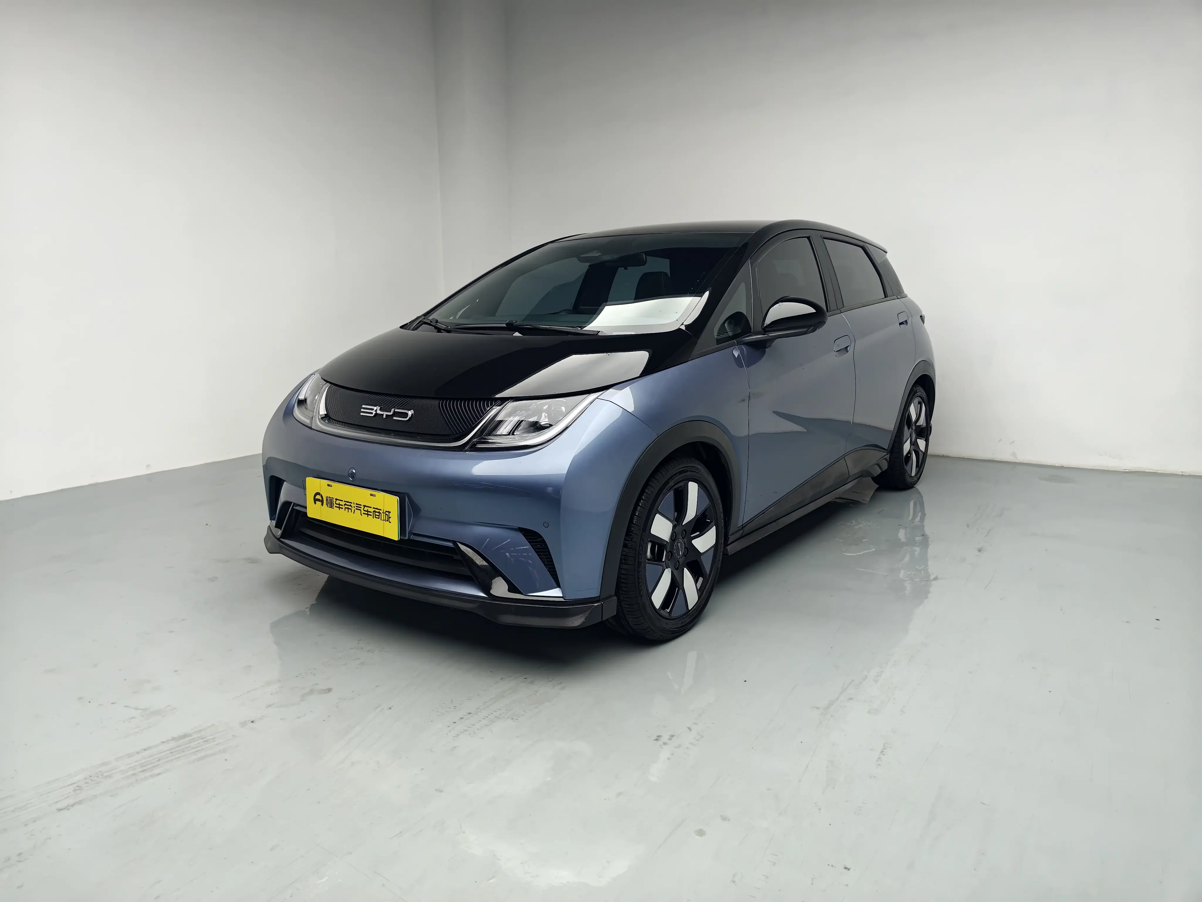 BYD dolphin