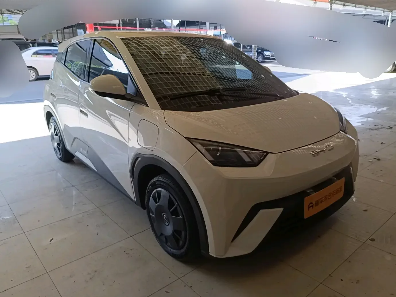 BYD seagull