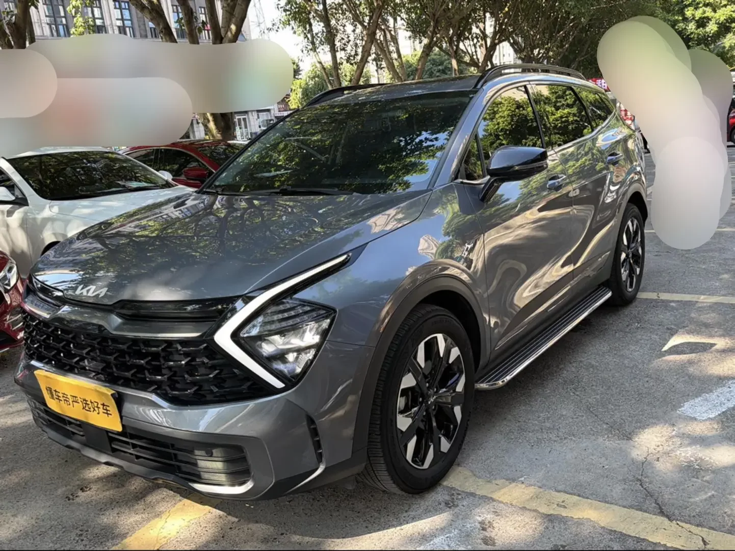 Kia Lion Platinum Expands the Boundary