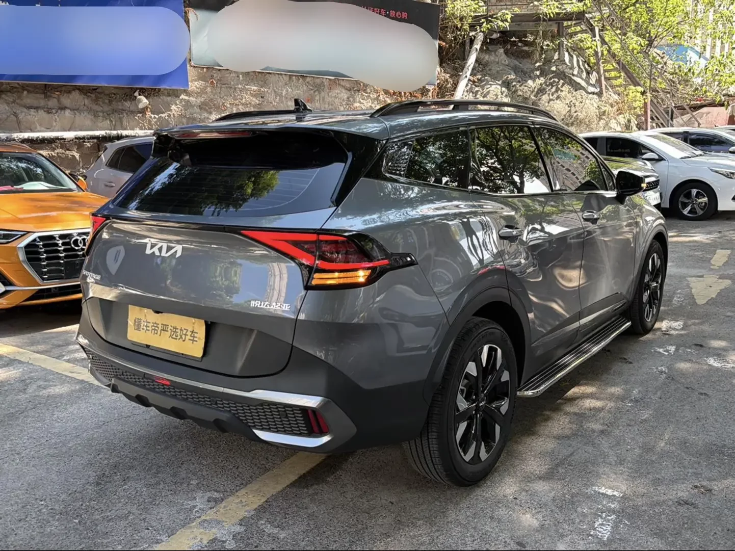 Kia Lion Platinum Expands the Boundary