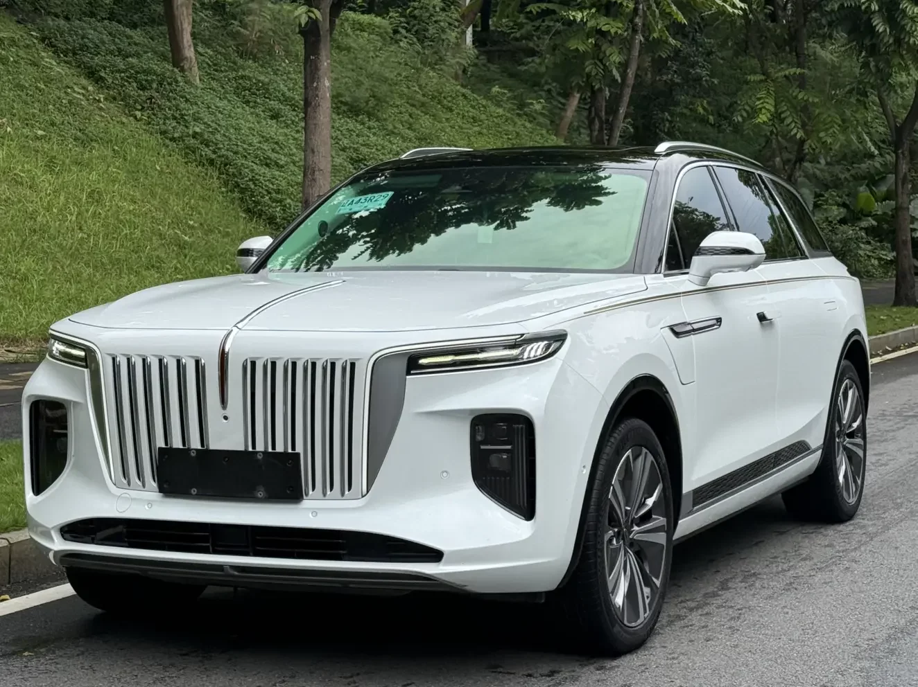 Hongqi E-HS9  из Китая