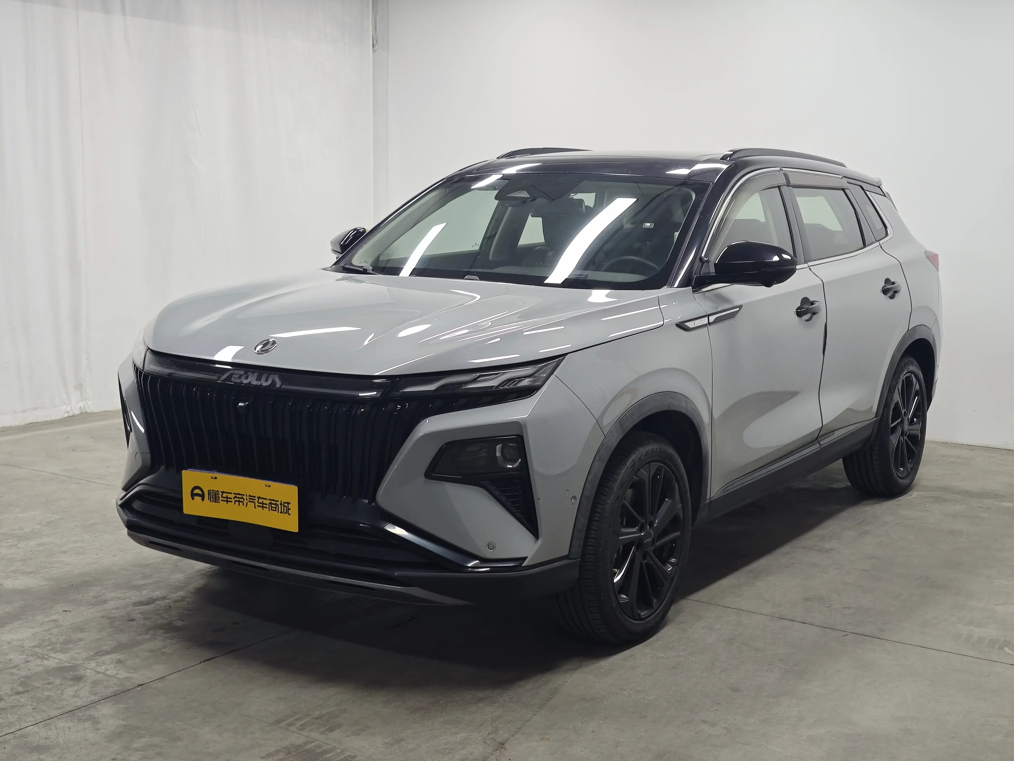 Dongfeng Haoji