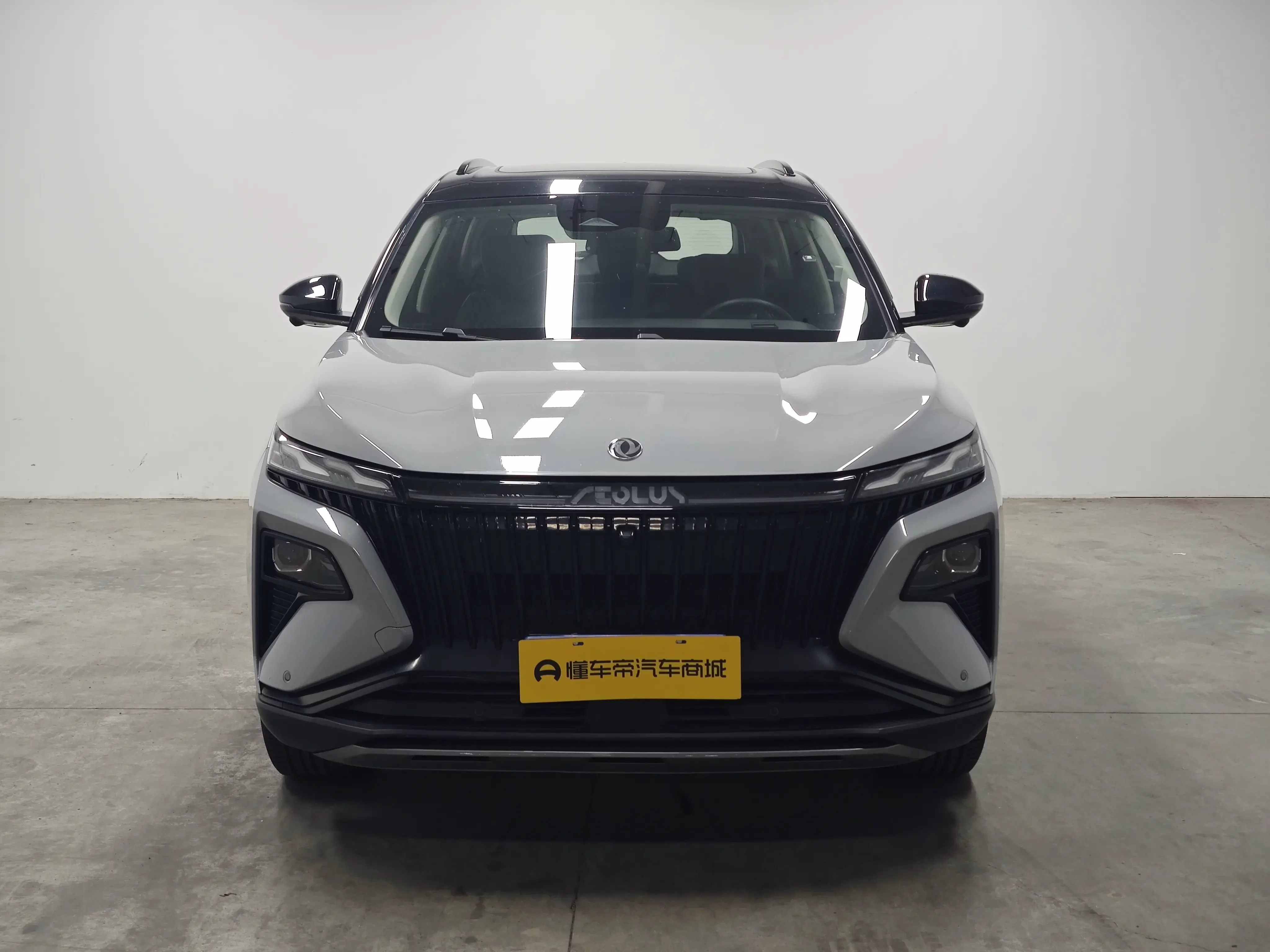 Dongfeng Haoji