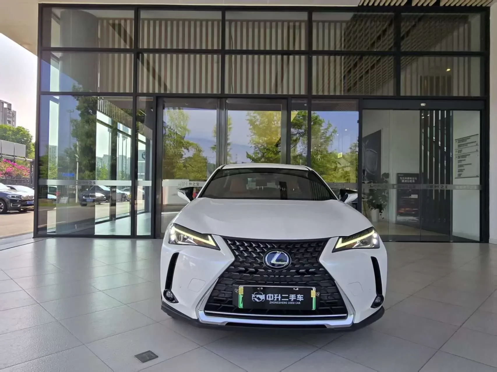 Lexus UX EV  из Китая