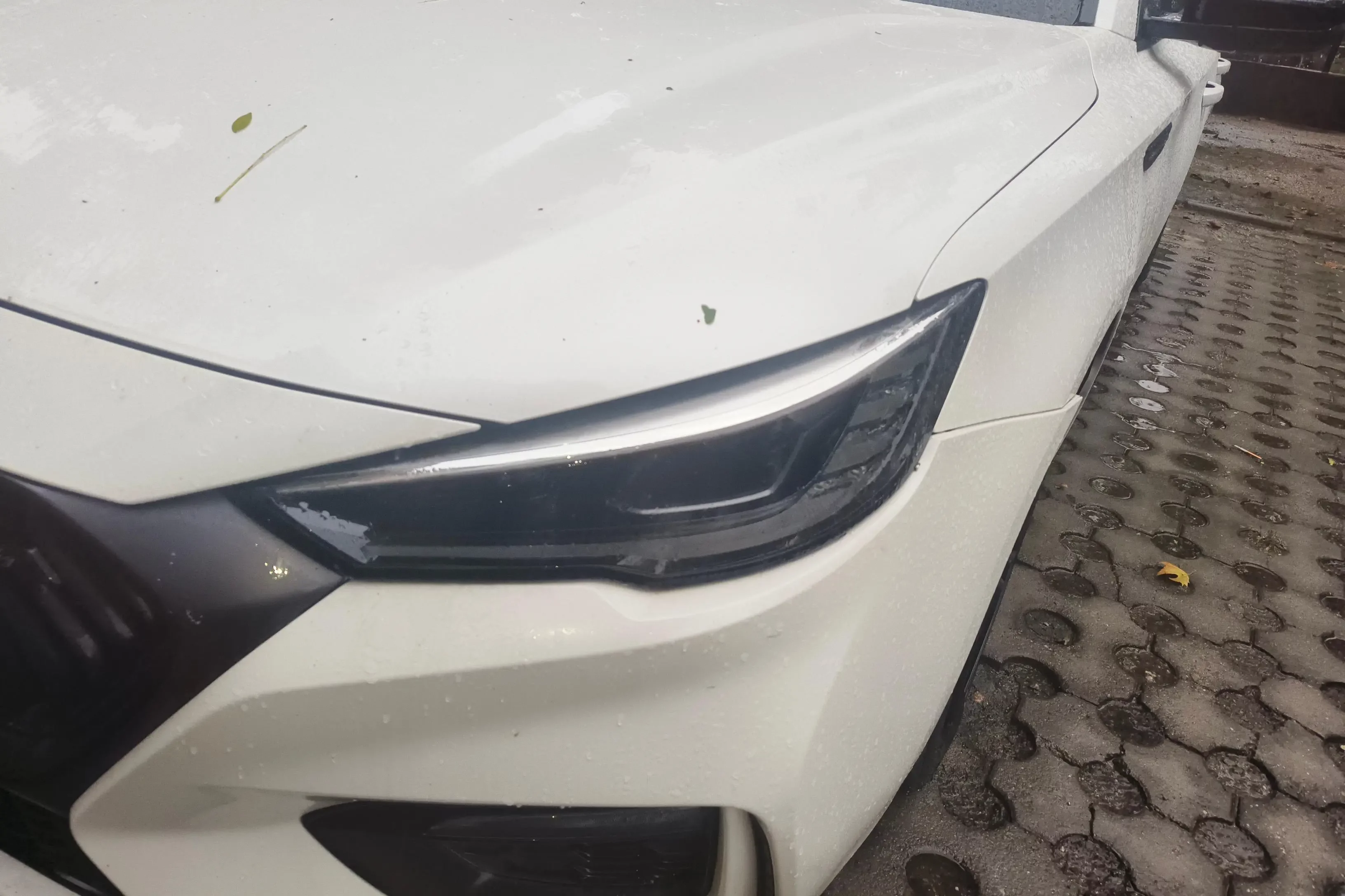 MG 6