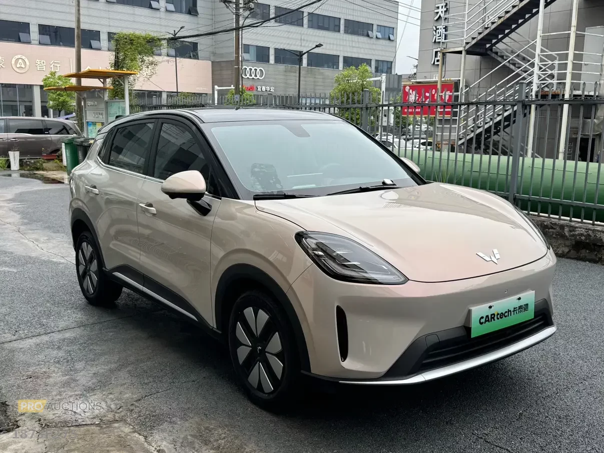 Wuling Bingo S