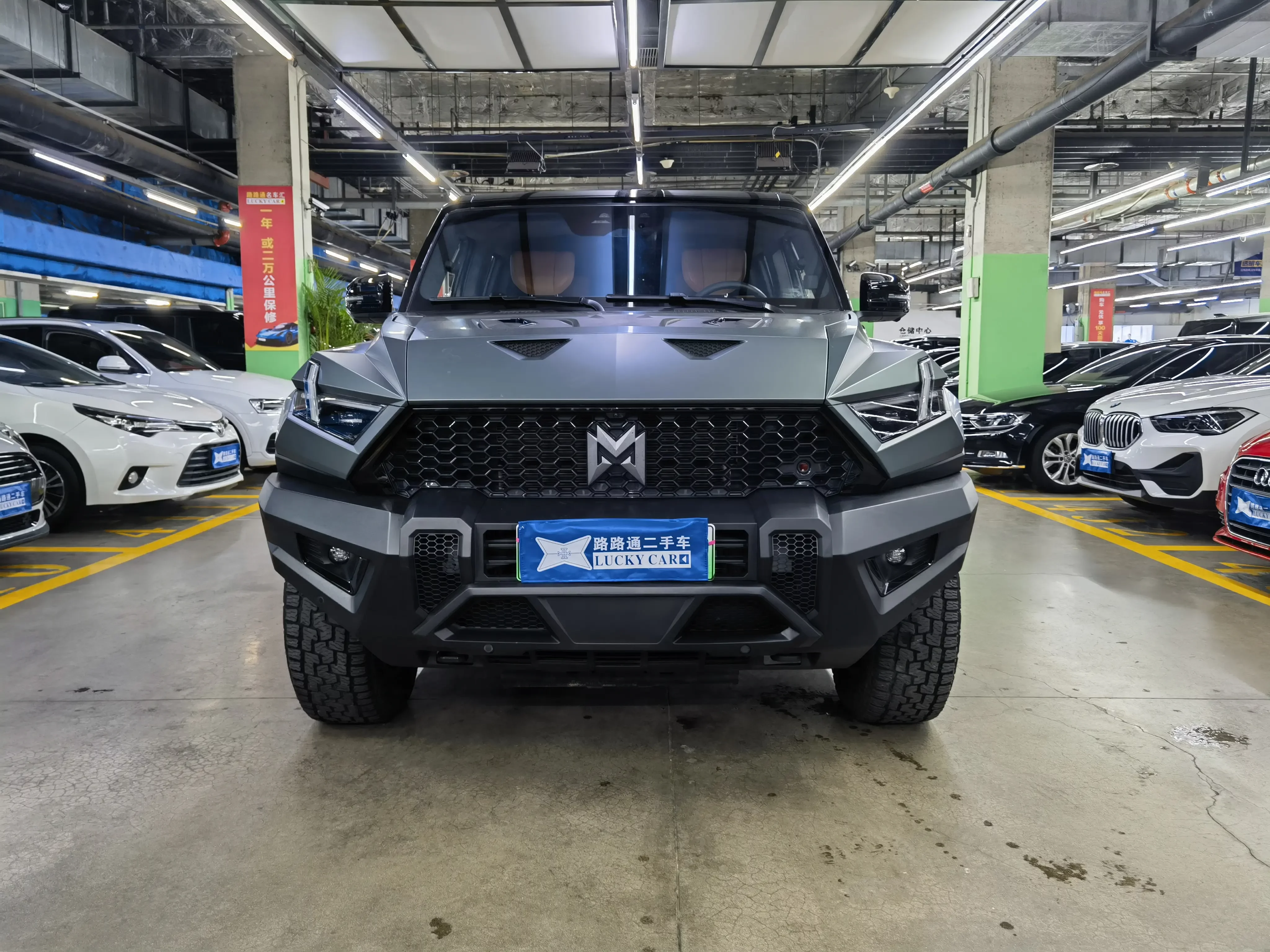 Mengshi Warrior 917  из Китая