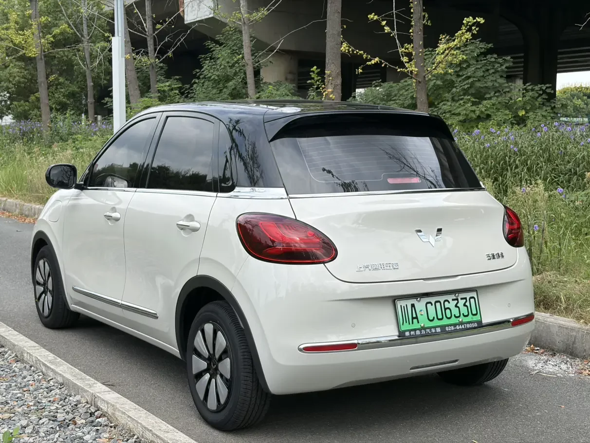Wuling Bingo