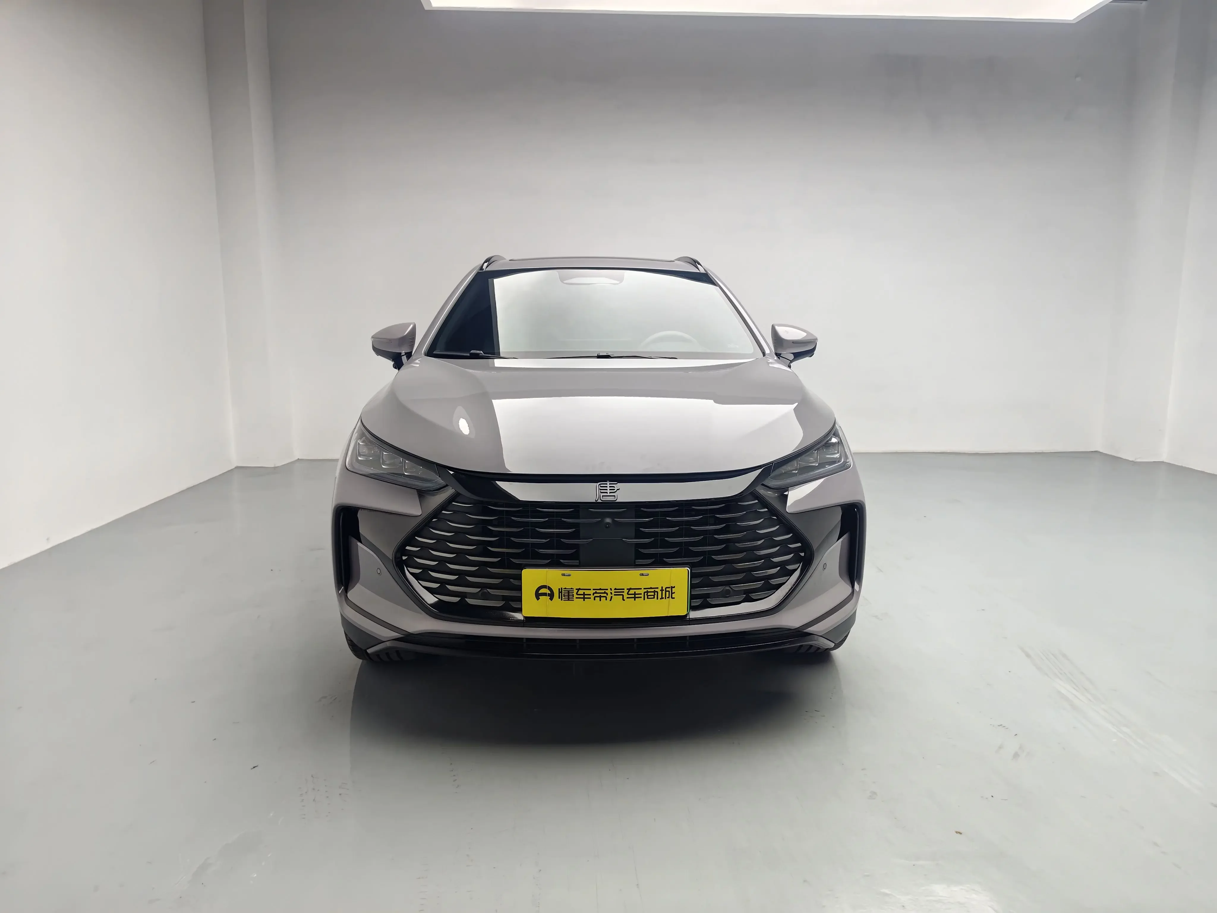BYD Tang DM