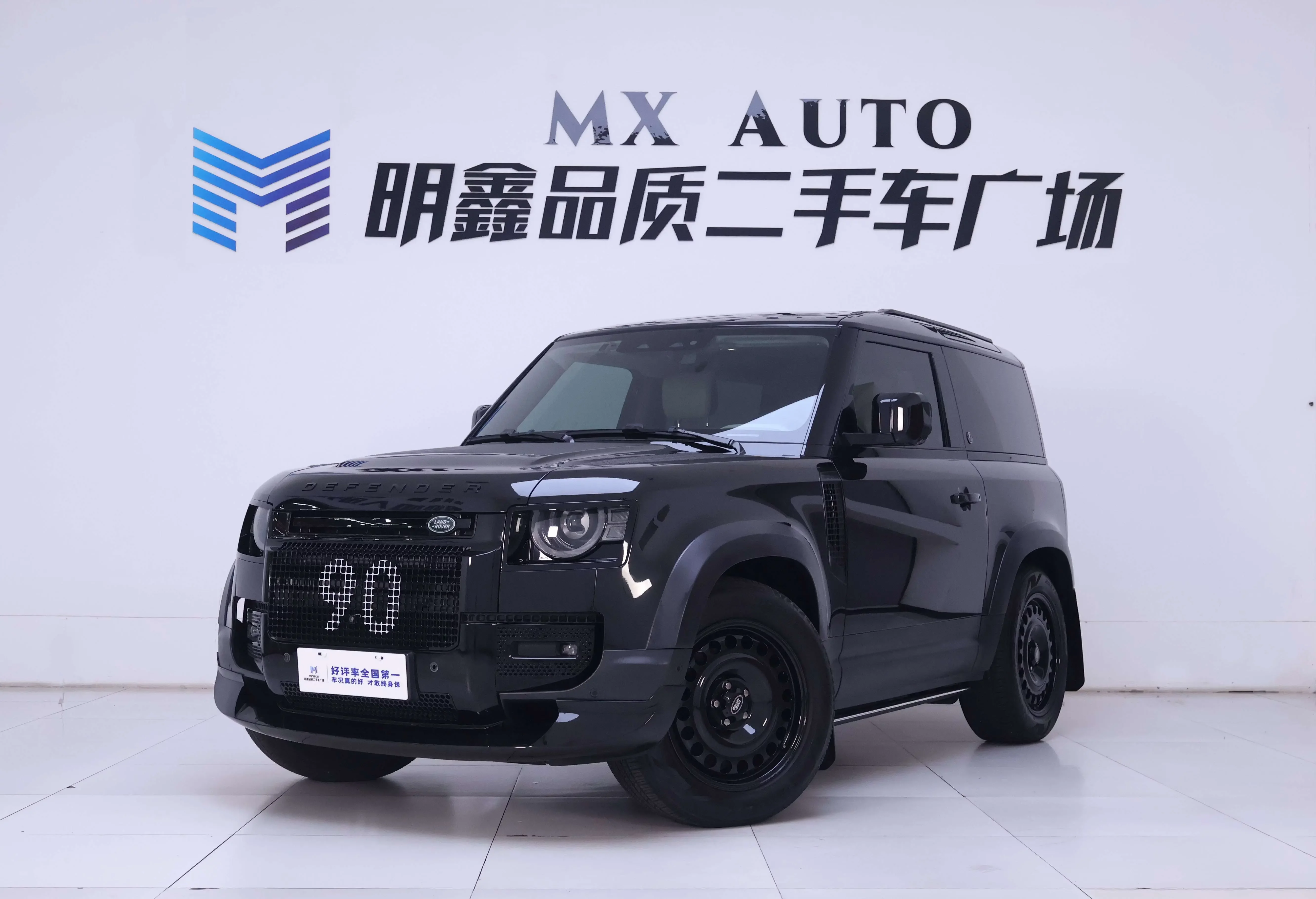 Land Rover guard