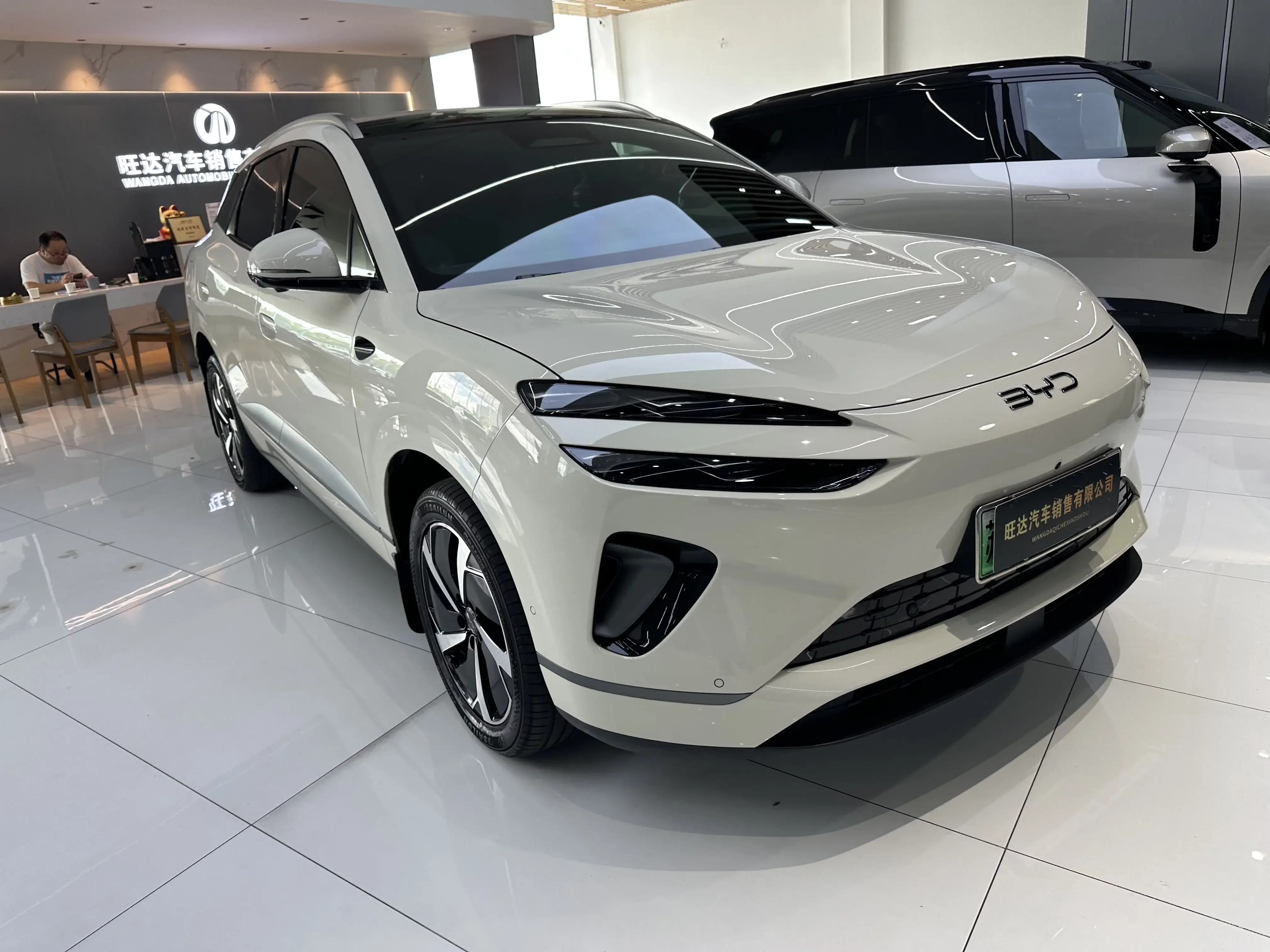 BYD Sea Lion 06EV