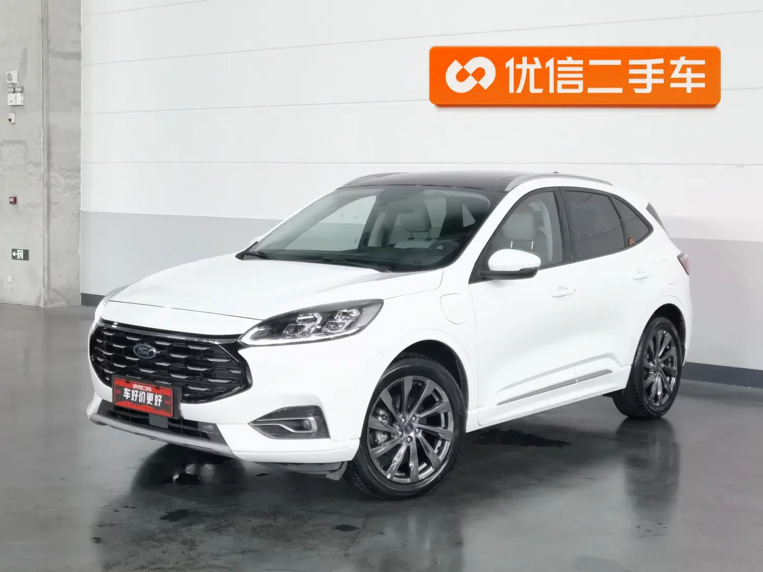 Ford Ruiji PHEV  из Китая