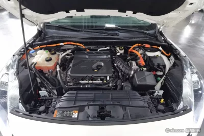 Ford Ruiji PHEV