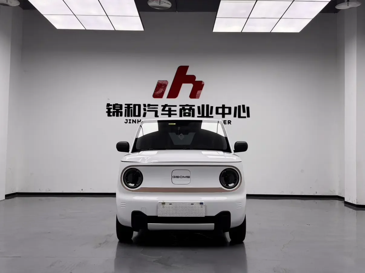 Geely panda