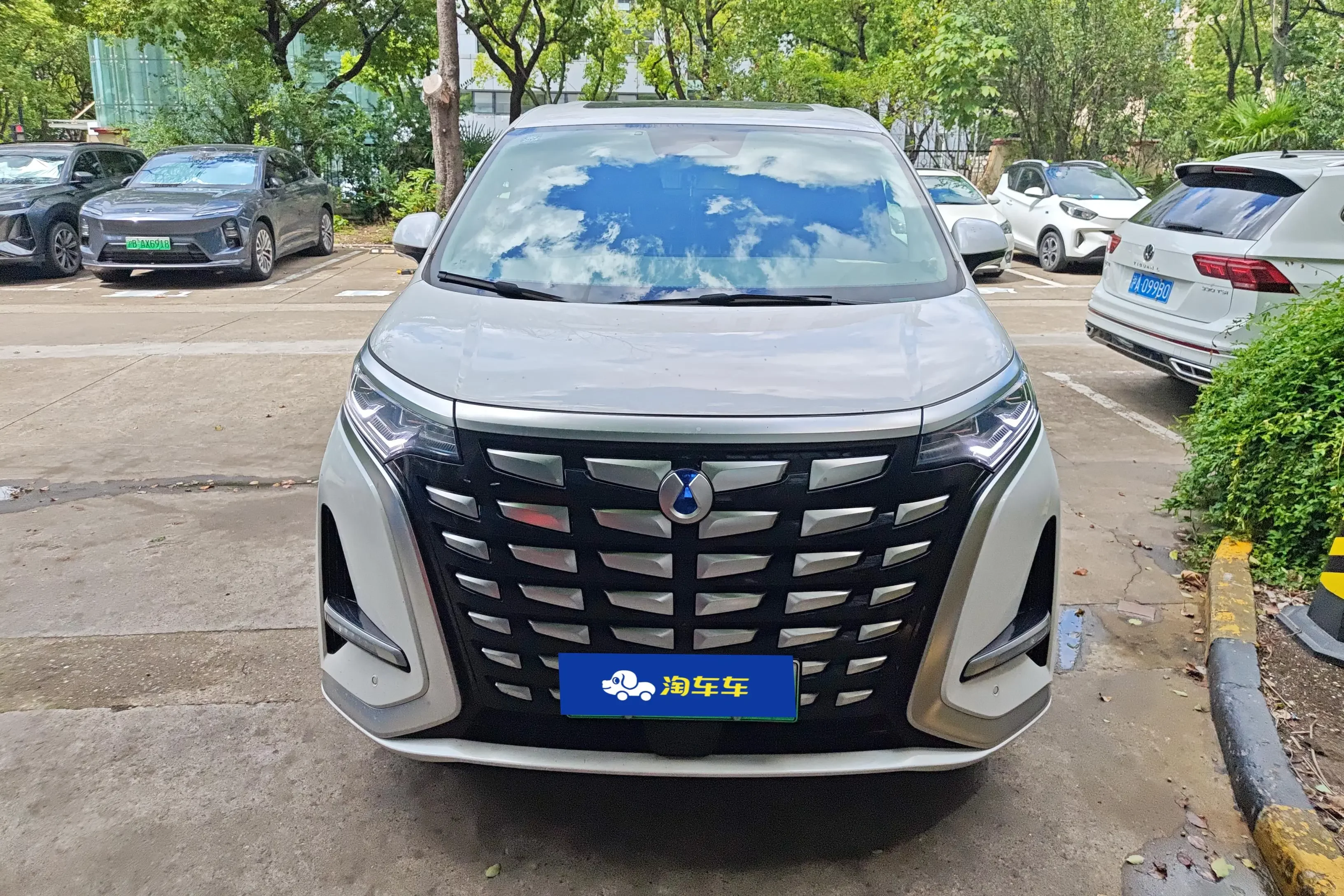 Denza D9 DM  из Китая