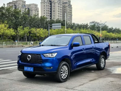 Great Wall Poer, 2020 — купить с доставкой из Китая