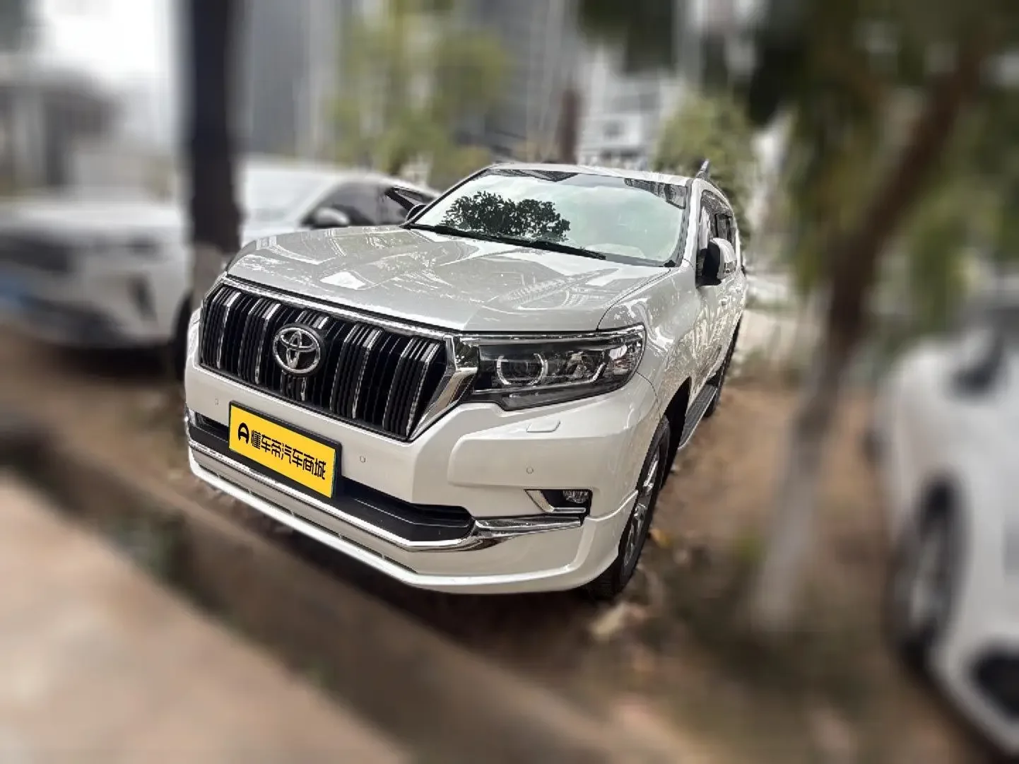 Toyota Prado