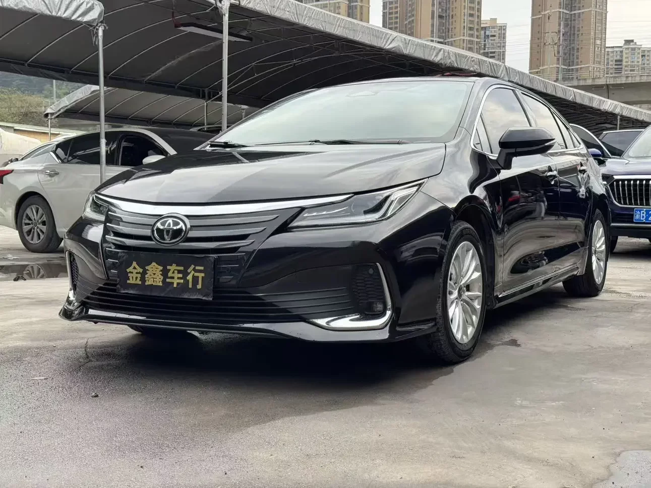 Toyota Asiatic lion