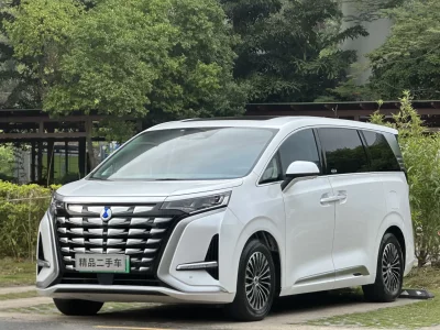 Denza D9 DM, 2023 — купить с доставкой из Китая