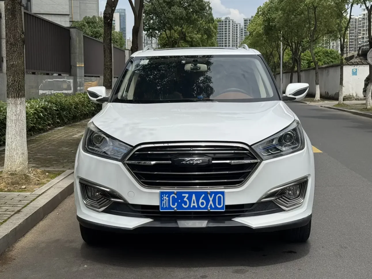 Zotye T300