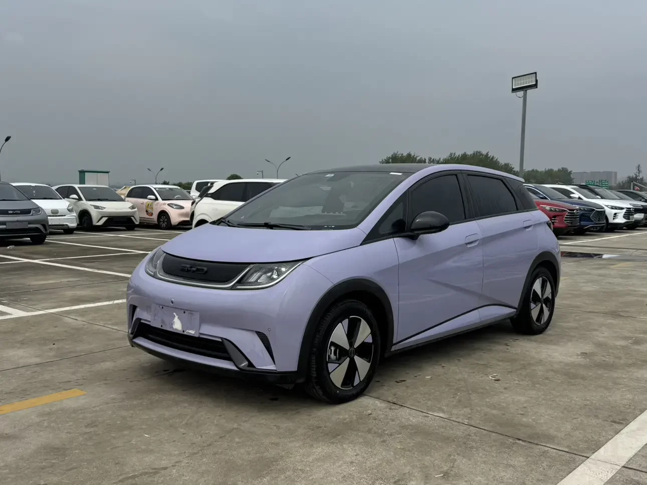 BYD DOLPHIN