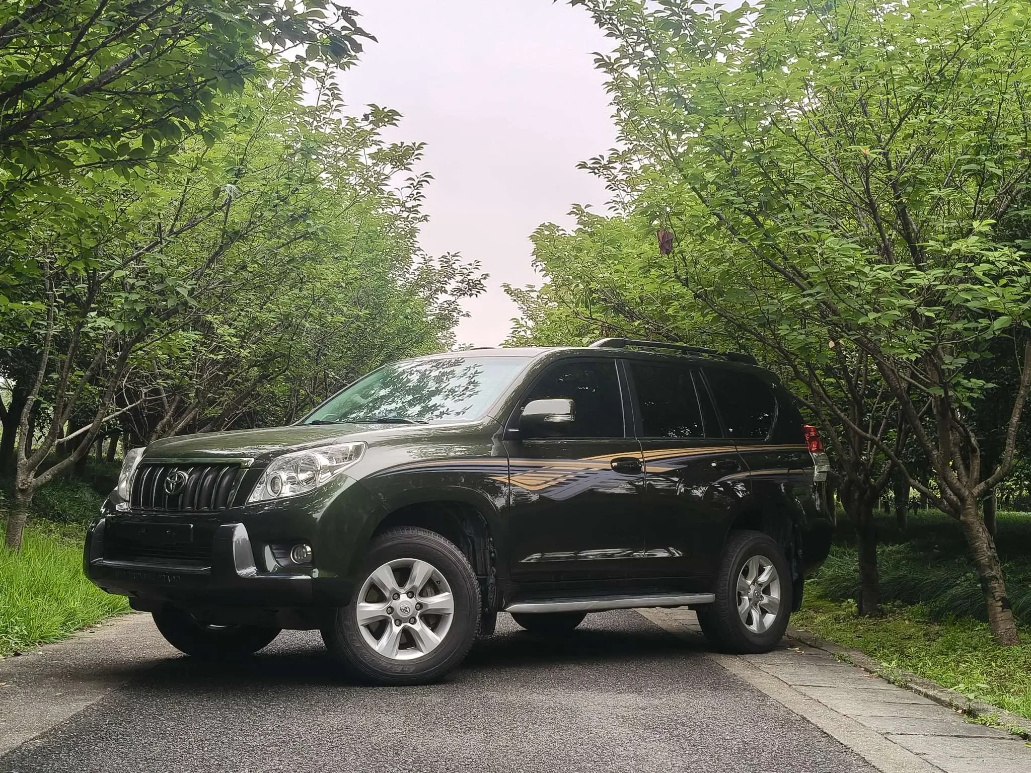 Toyota Prado