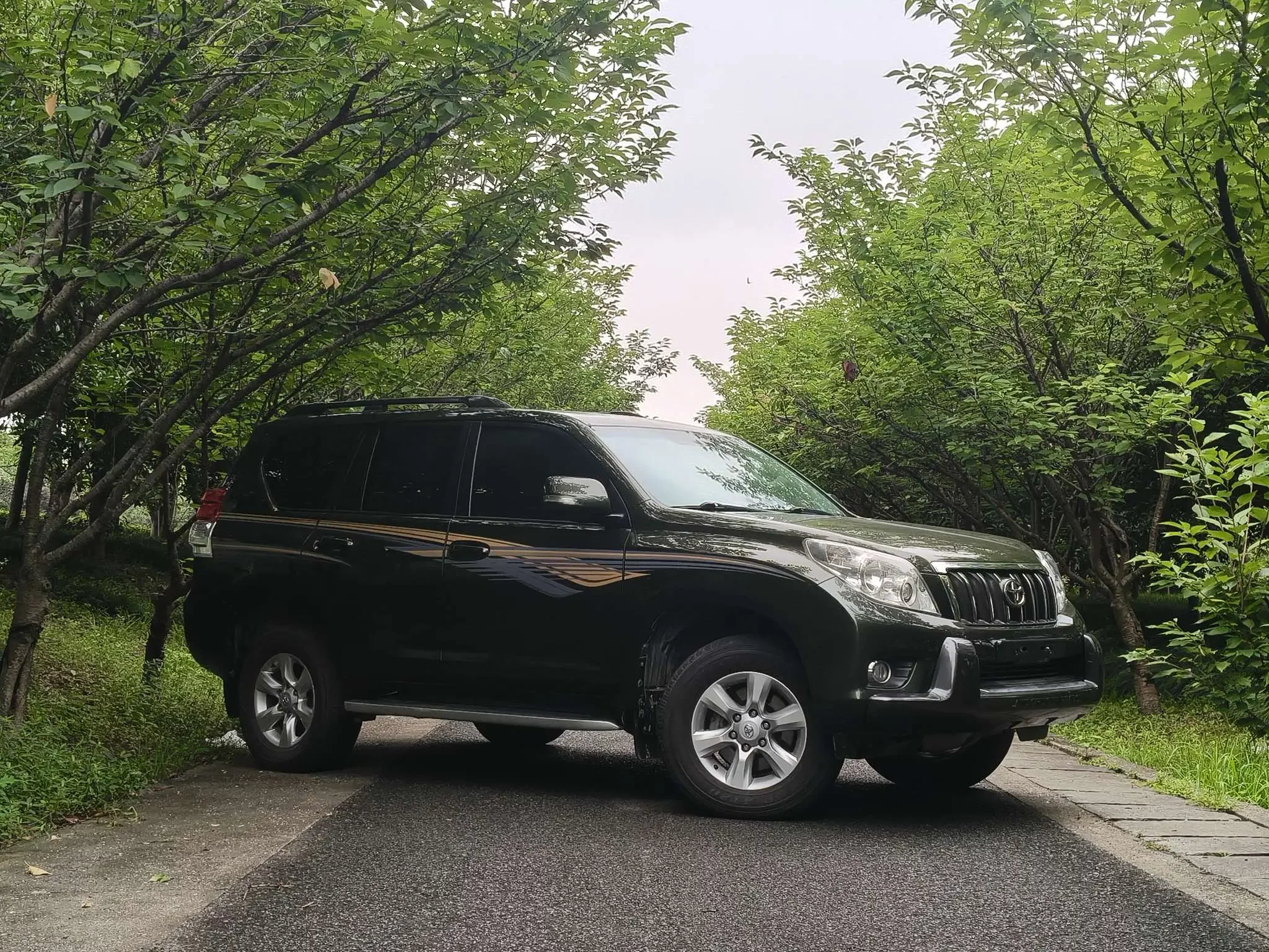 Toyota Prado