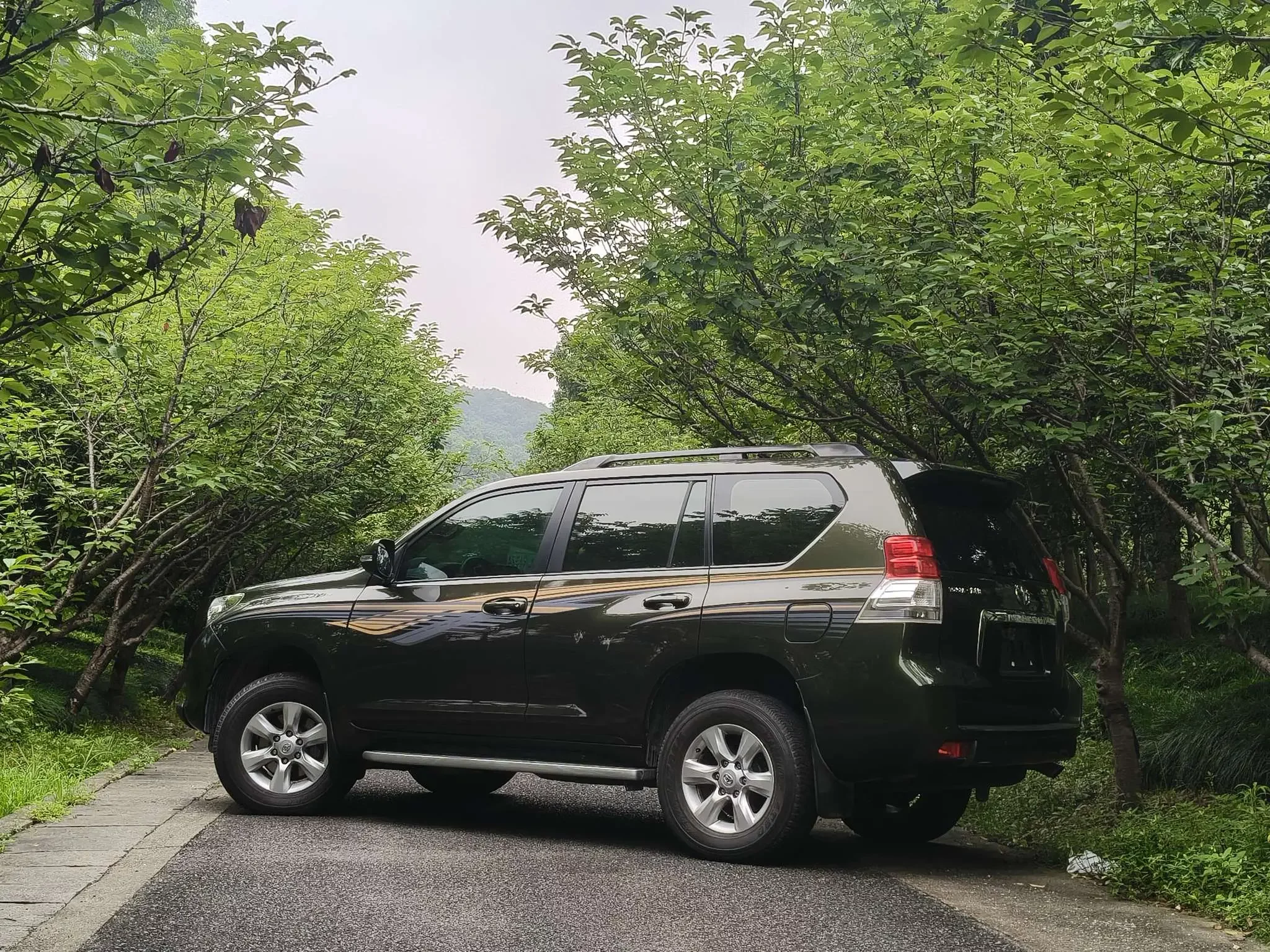 Toyota Prado