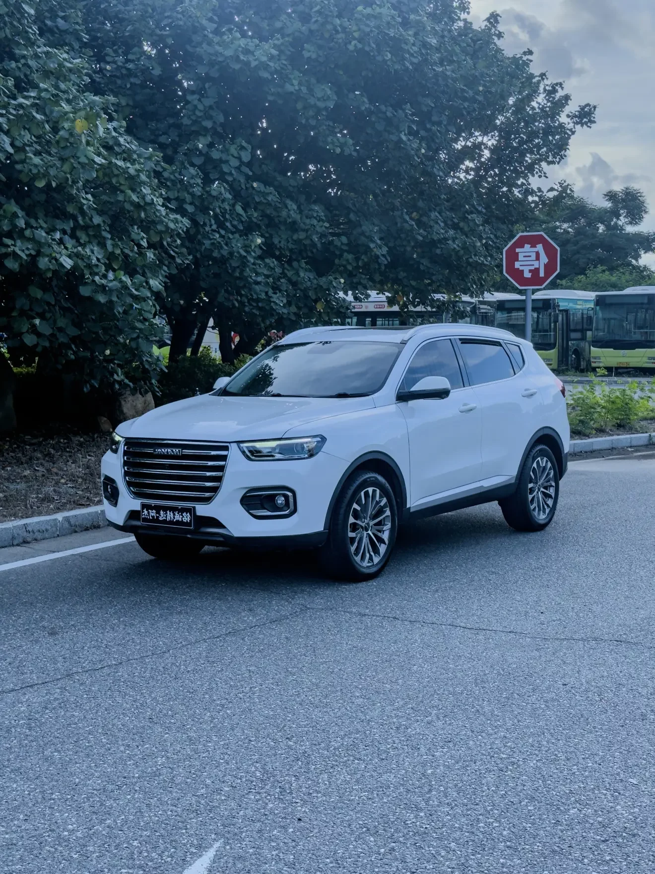 Haval H6