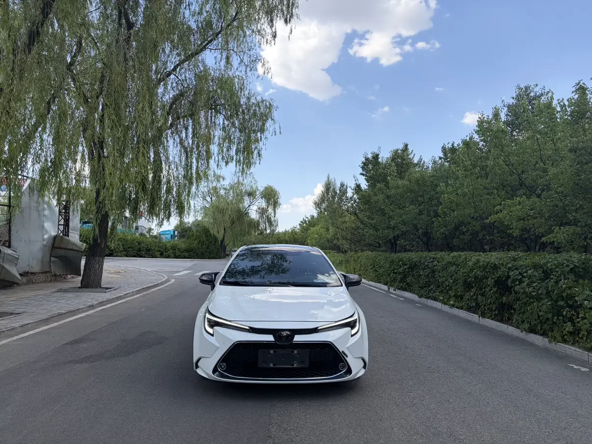 Toyota Levin