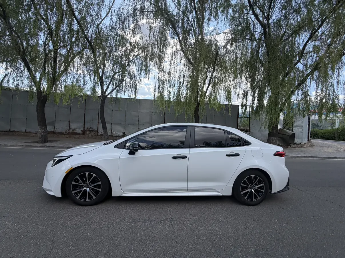 Toyota Levin