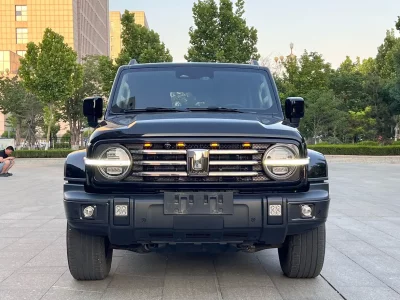 TANK 300